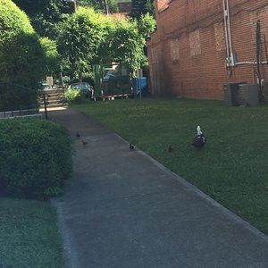 Meet your Posher, Ryleekate